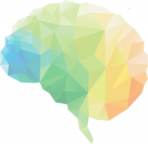 Want to learn more about the brain?