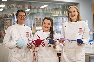 Neural Knitworks TAS