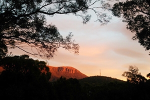 Tailored education to improve bushfire-related health outcomes for older Tasmanians