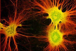 A snapshot of current research 