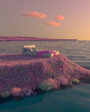 bed