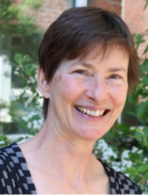 Carol Brayne CBE