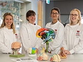 Bringing neuroscience to our schools