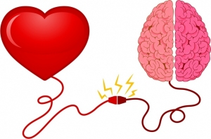 What's good for your heart is good for your brain